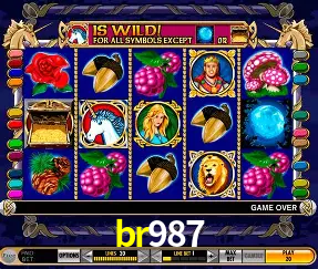 VIP Casino br987